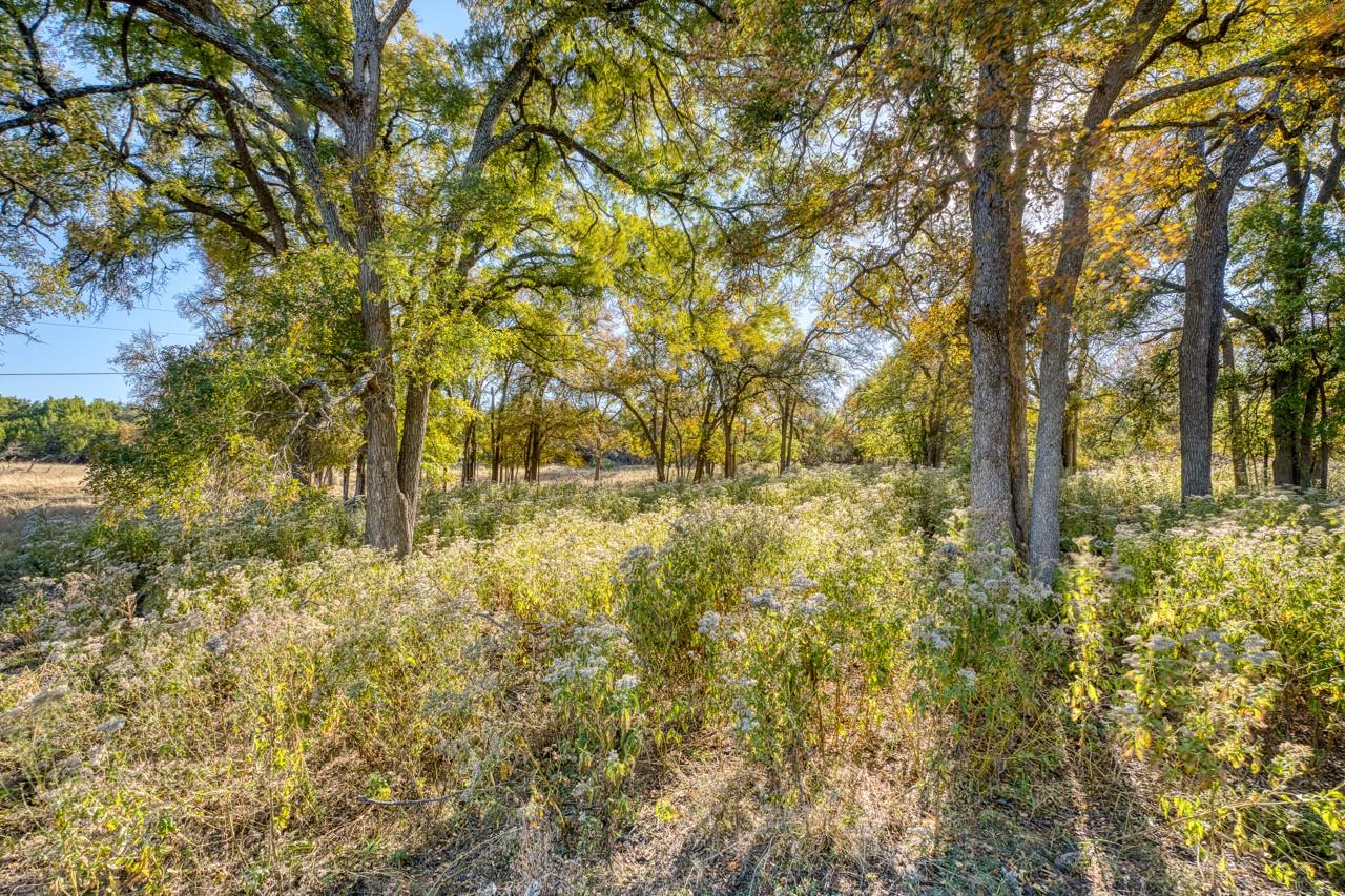 20949 Firefly Rd, Salado, TX 76527