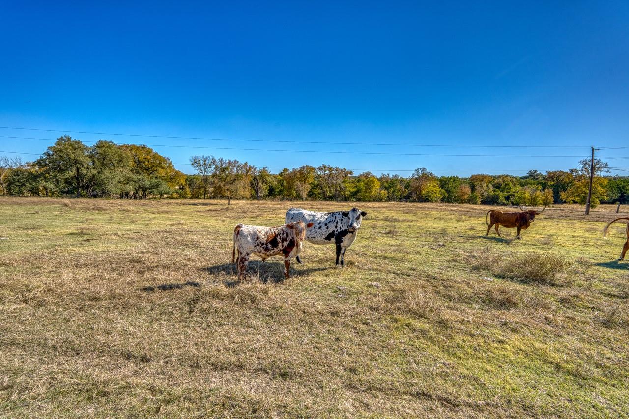 20949 Firefly Rd, Salado, TX 76527