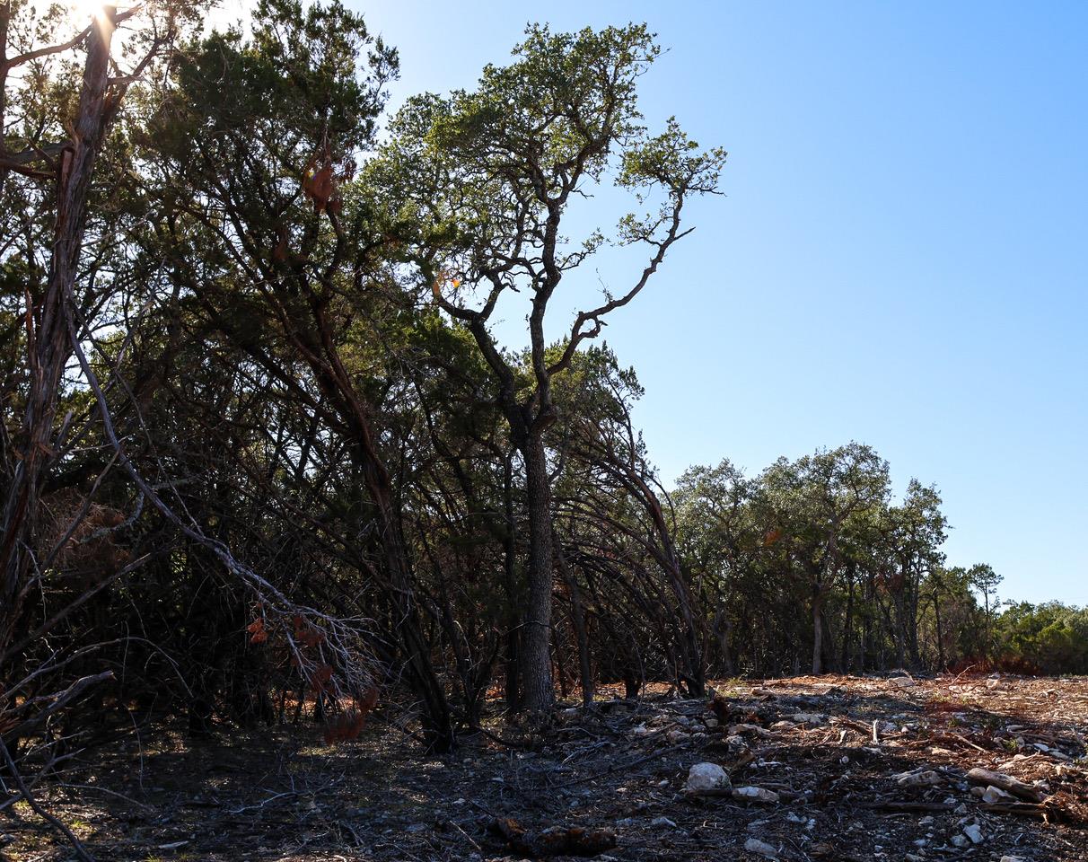 3101 - 3 Longhorn Trl, Wimberley, TX 78676