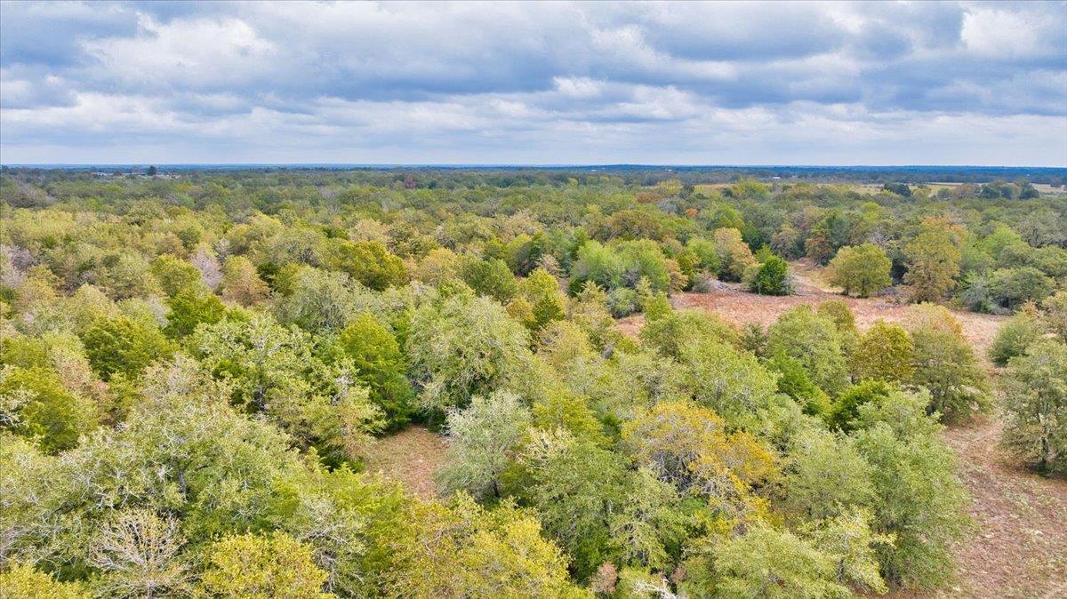 TBD S HWY 77, Rockdale, TX 76567