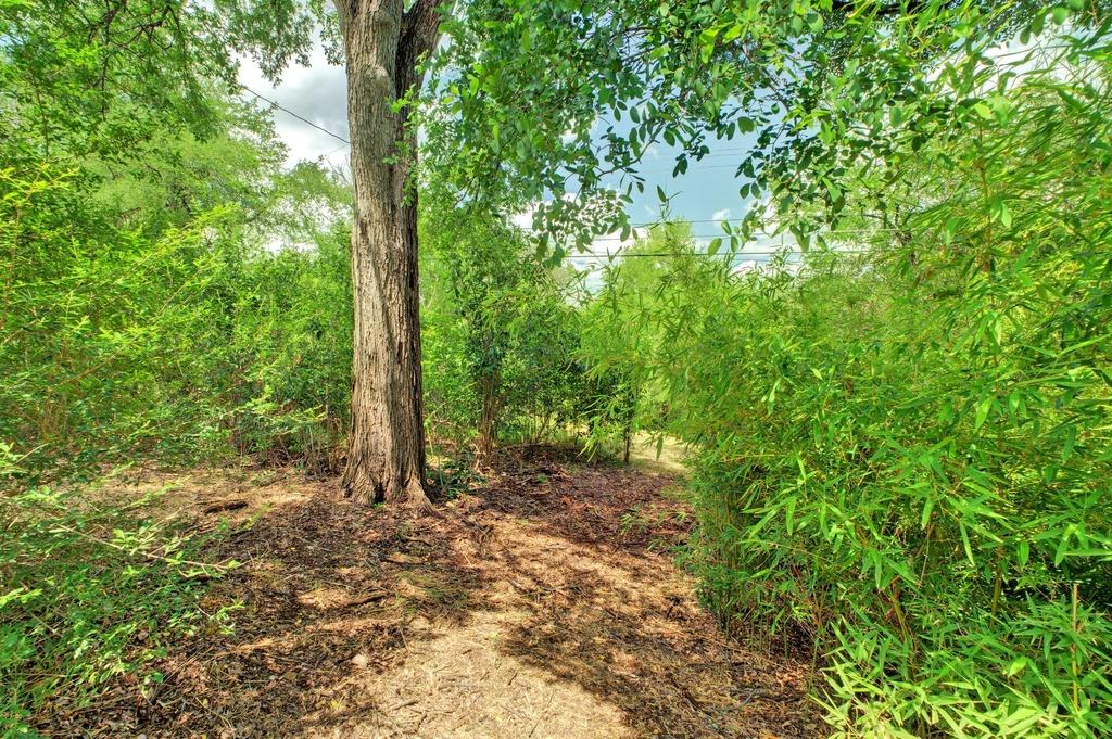 6608 Bradley Dr, Austin, TX 78723