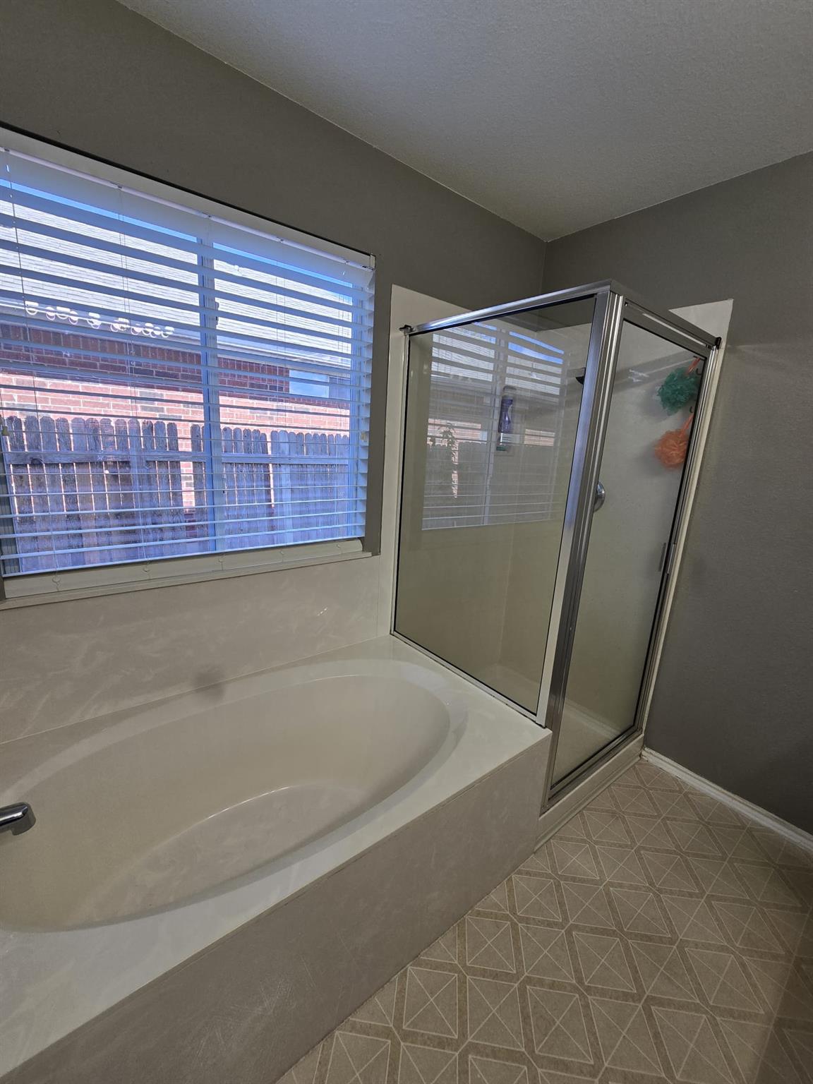 12304 Waterford Run Way, Manor, TX 78653