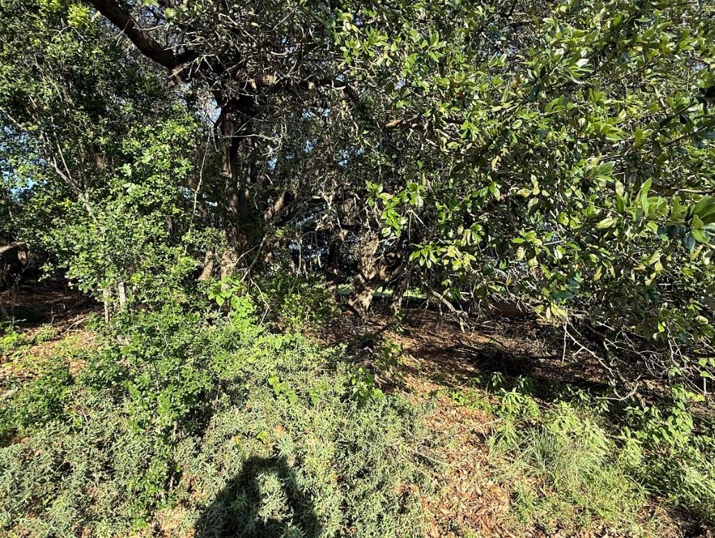 4209 Rockwood Dr, Lago Vista, TX 78645