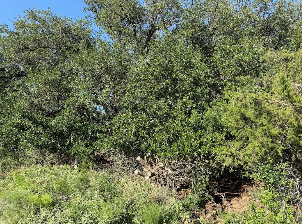 4209 Rockwood Dr, Lago Vista, TX 78645