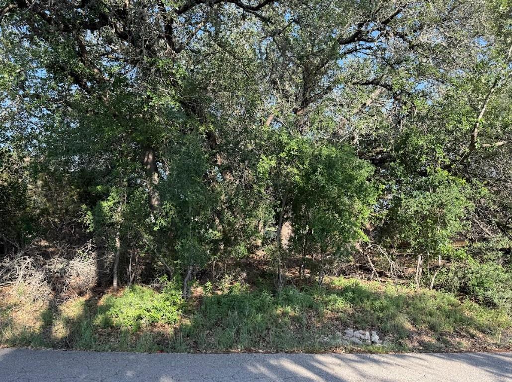 4209 Rockwood Dr, Lago Vista, TX 78645