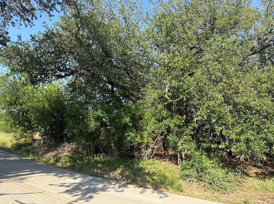 4209 Rockwood Dr, Lago Vista, TX 78645