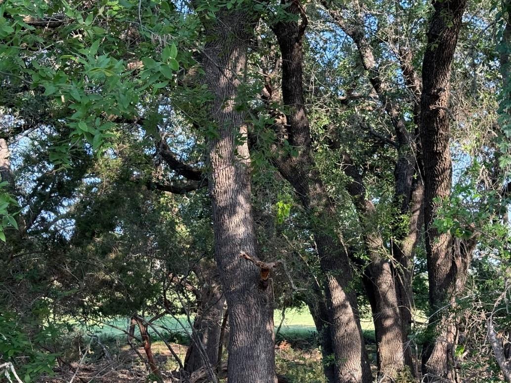 4209 Rockwood Dr, Lago Vista, TX 78645