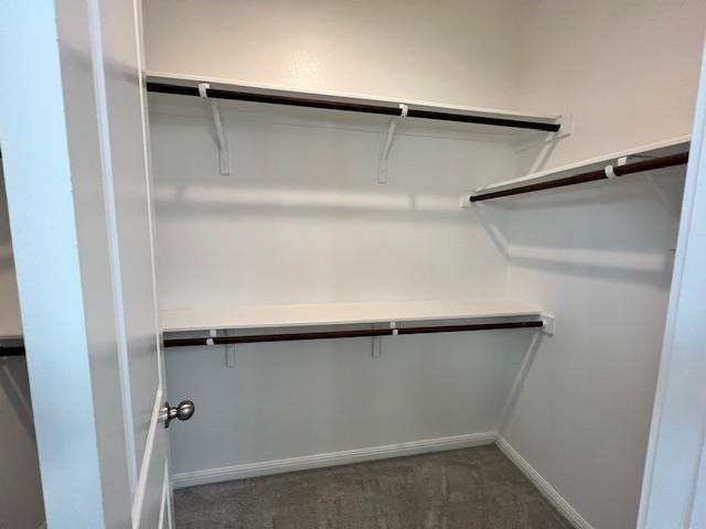 221 Arabian Colt Dr, Georgetown, TX 78626