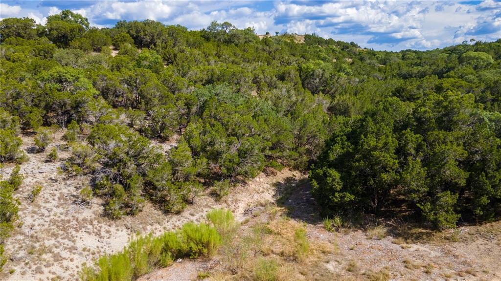 19500 Blanco Dr, Lago Vista, TX 78645