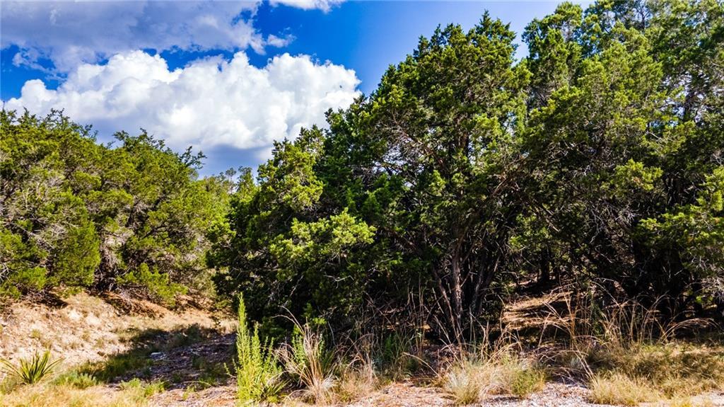 19500 Blanco Dr, Lago Vista, TX 78645