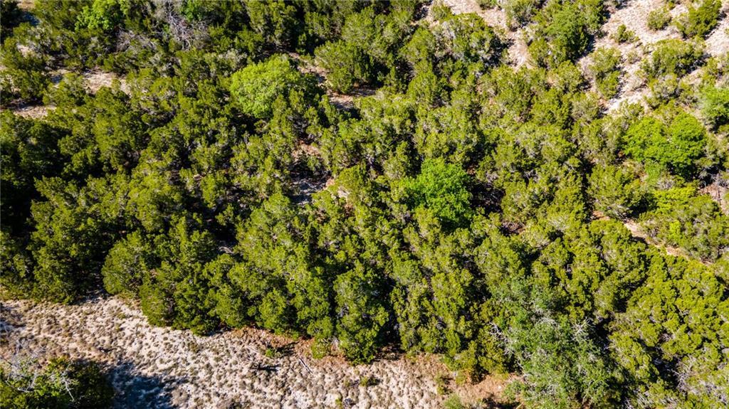 19500 Blanco Dr, Lago Vista, TX 78645