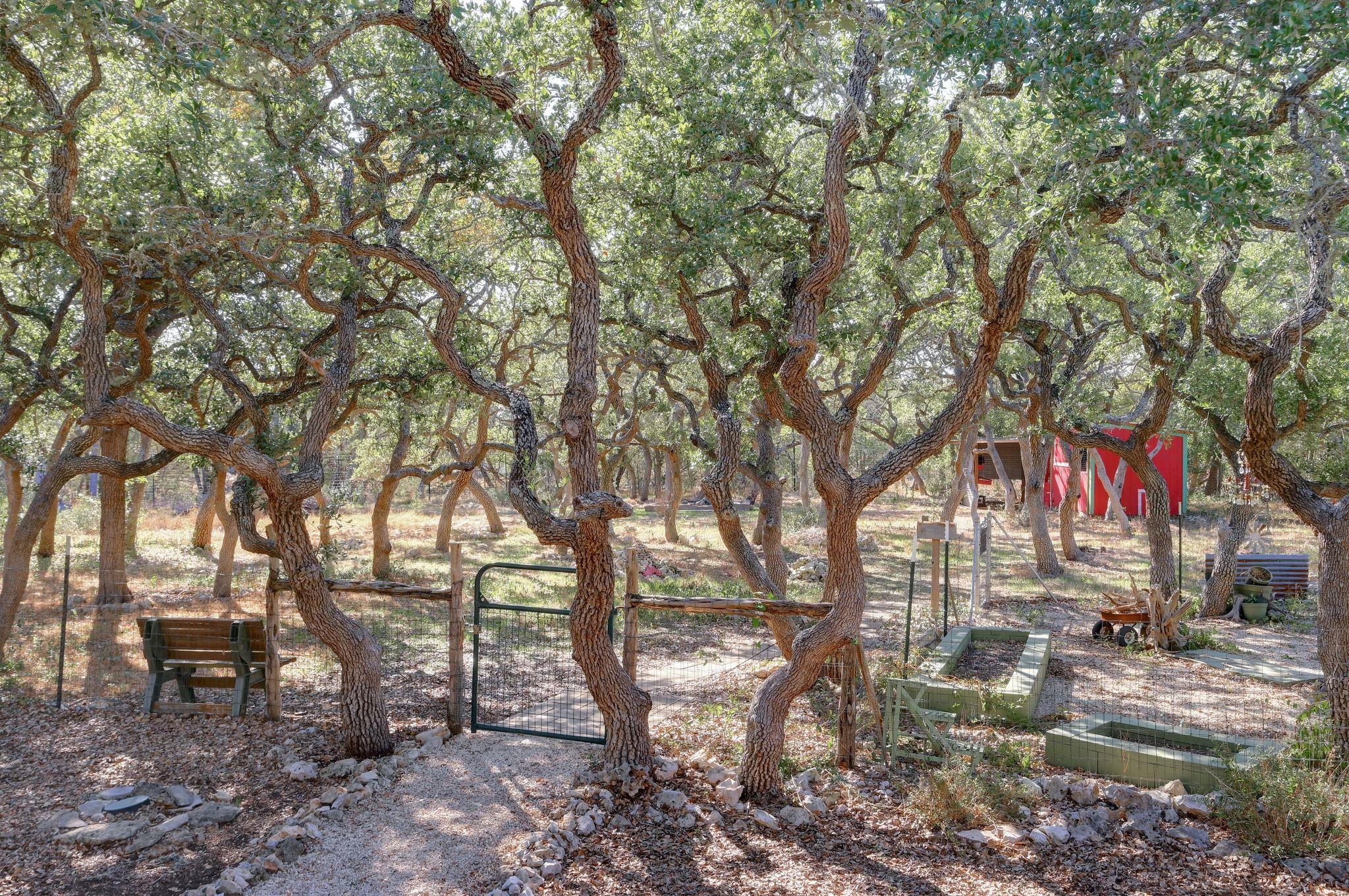 309 Deer Creek Dr, San Marcos, TX 78666