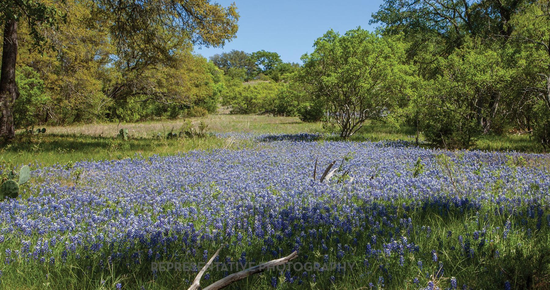 224 Menlo Bnd, Liberty Hill, TX 78642