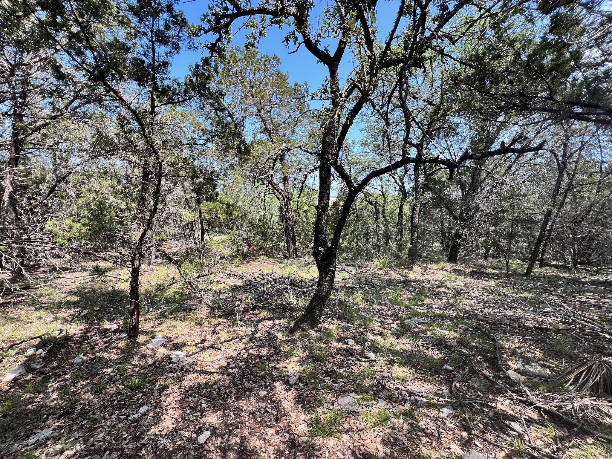 21910 Surrey Ln, Lago Vista, TX 78645