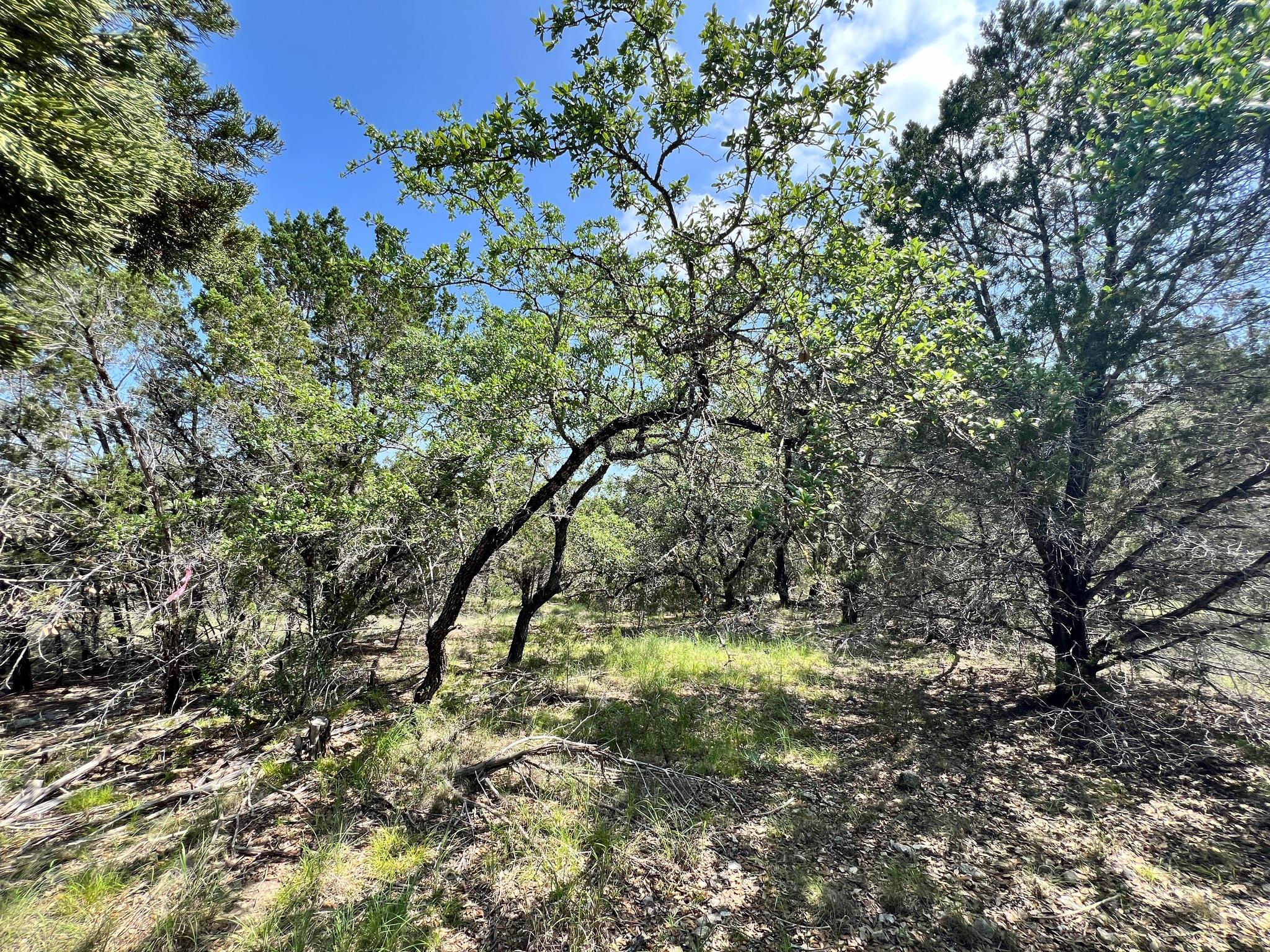 21910 Surrey Ln, Lago Vista, TX 78645