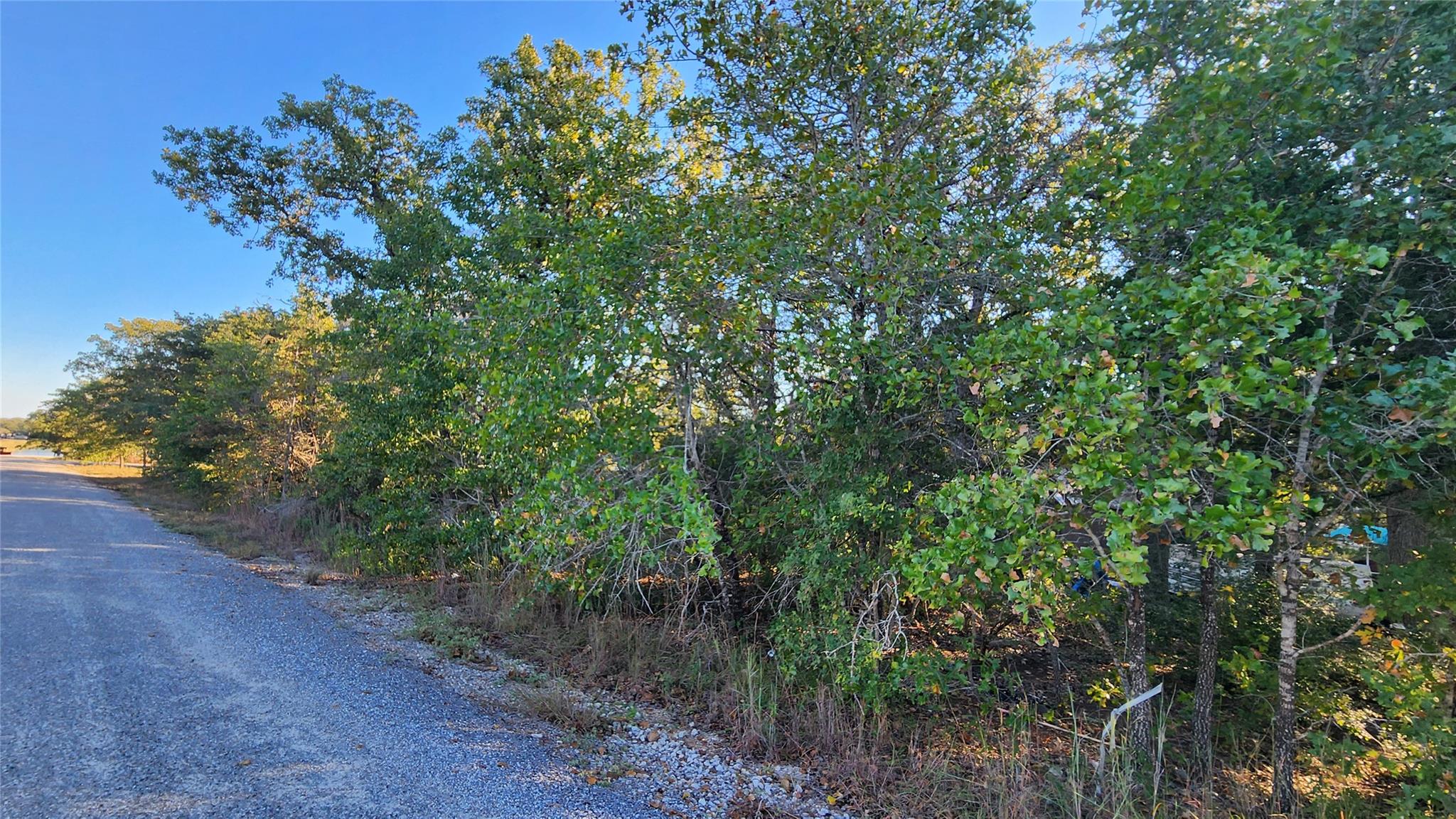 TBD Choctaw Trl, Smithville, TX 78957