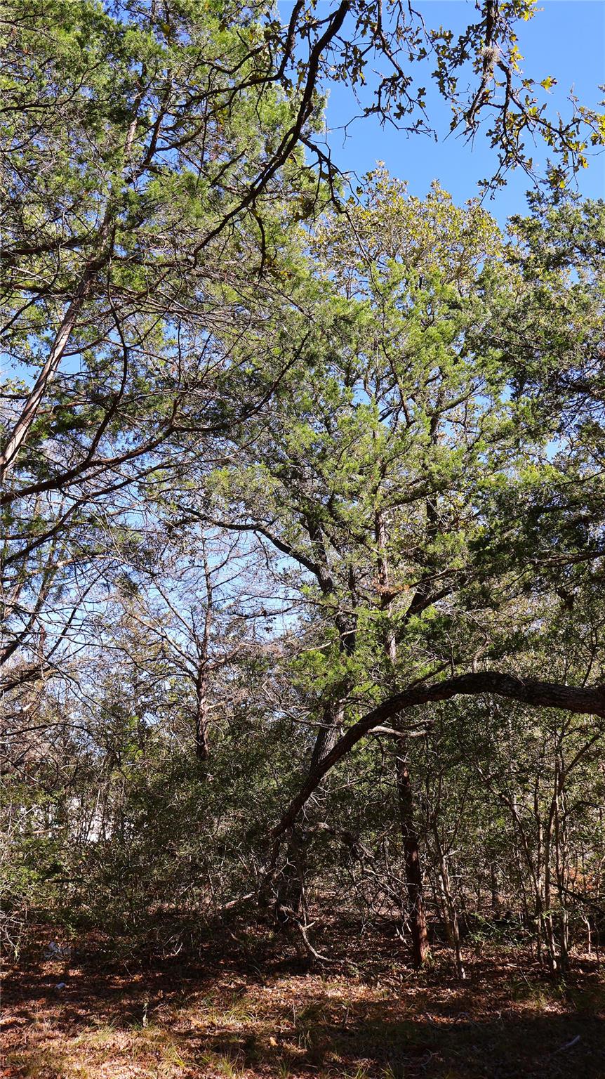 TBD Choctaw Trl, Smithville, TX 78957