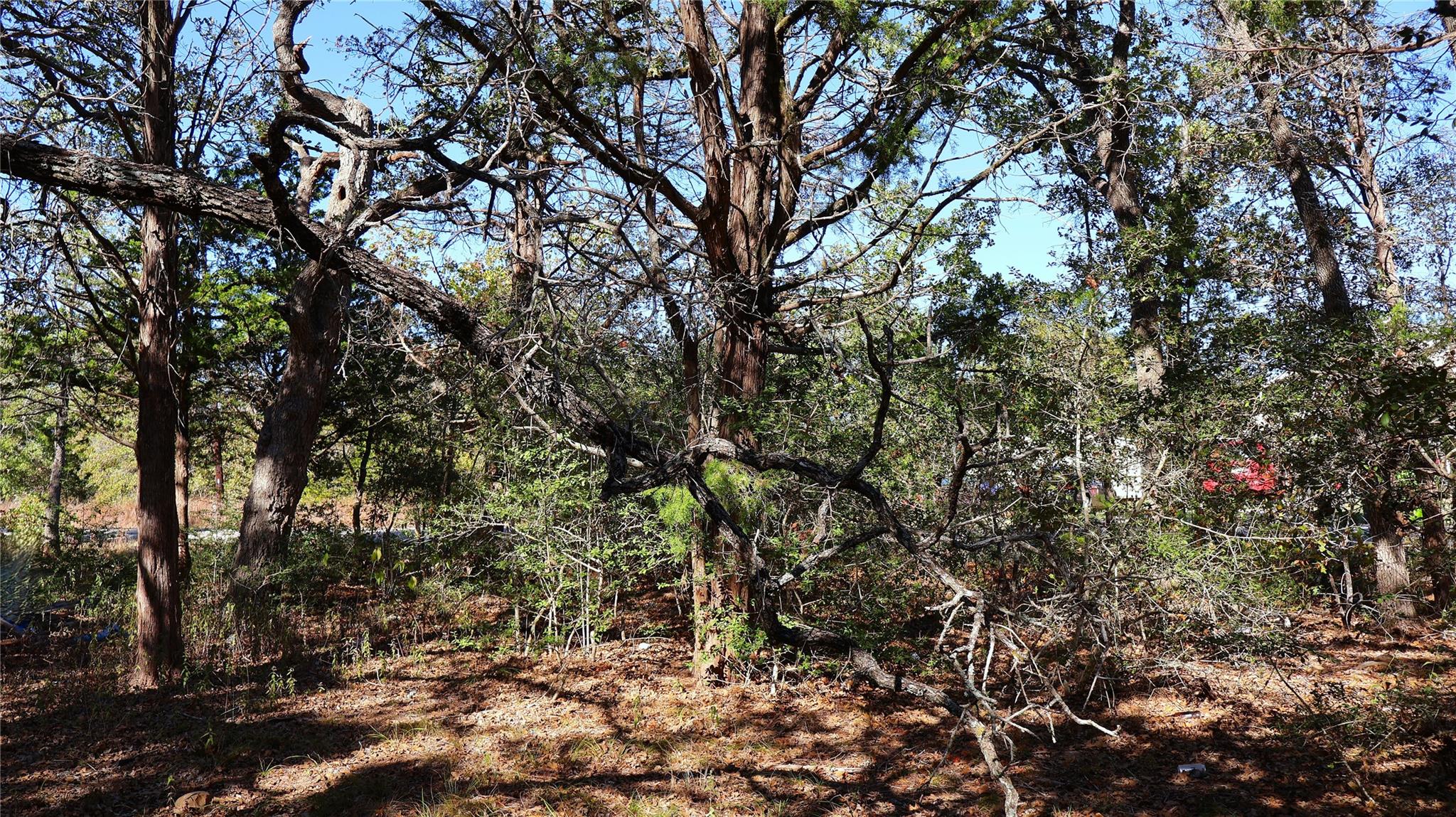 TBD Choctaw Trl, Smithville, TX 78957