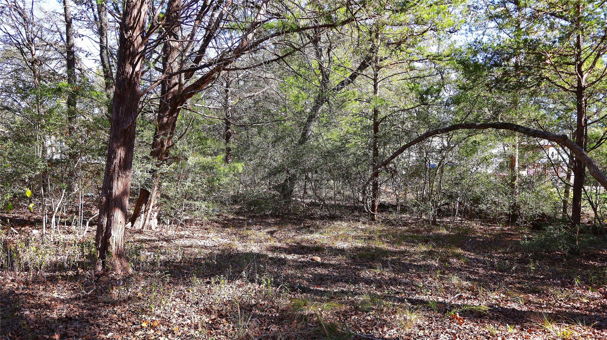 TBD Choctaw Trl, Smithville, TX 78957