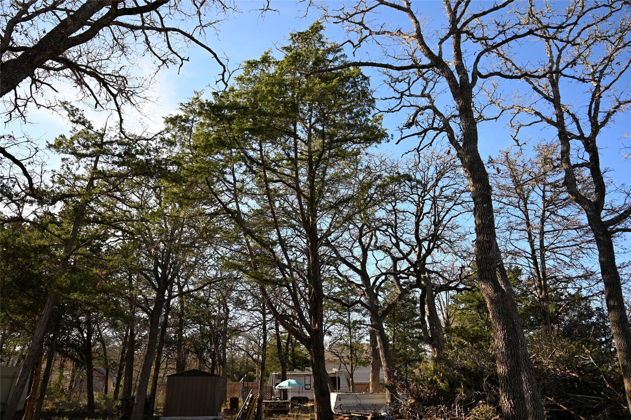 TBD Choctaw Trl, Smithville, TX 78957