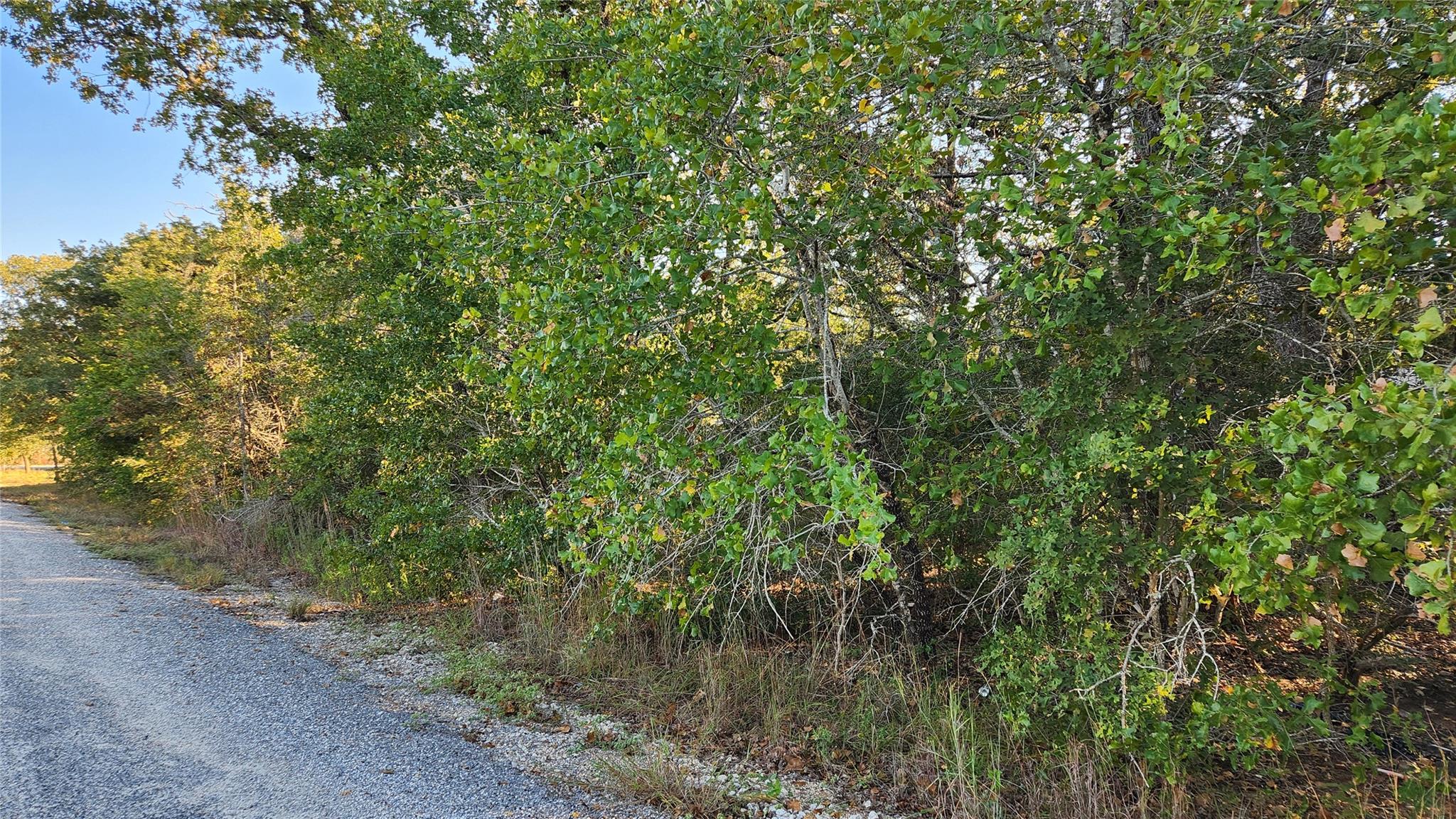 TBD Choctaw Trl, Smithville, TX 78957