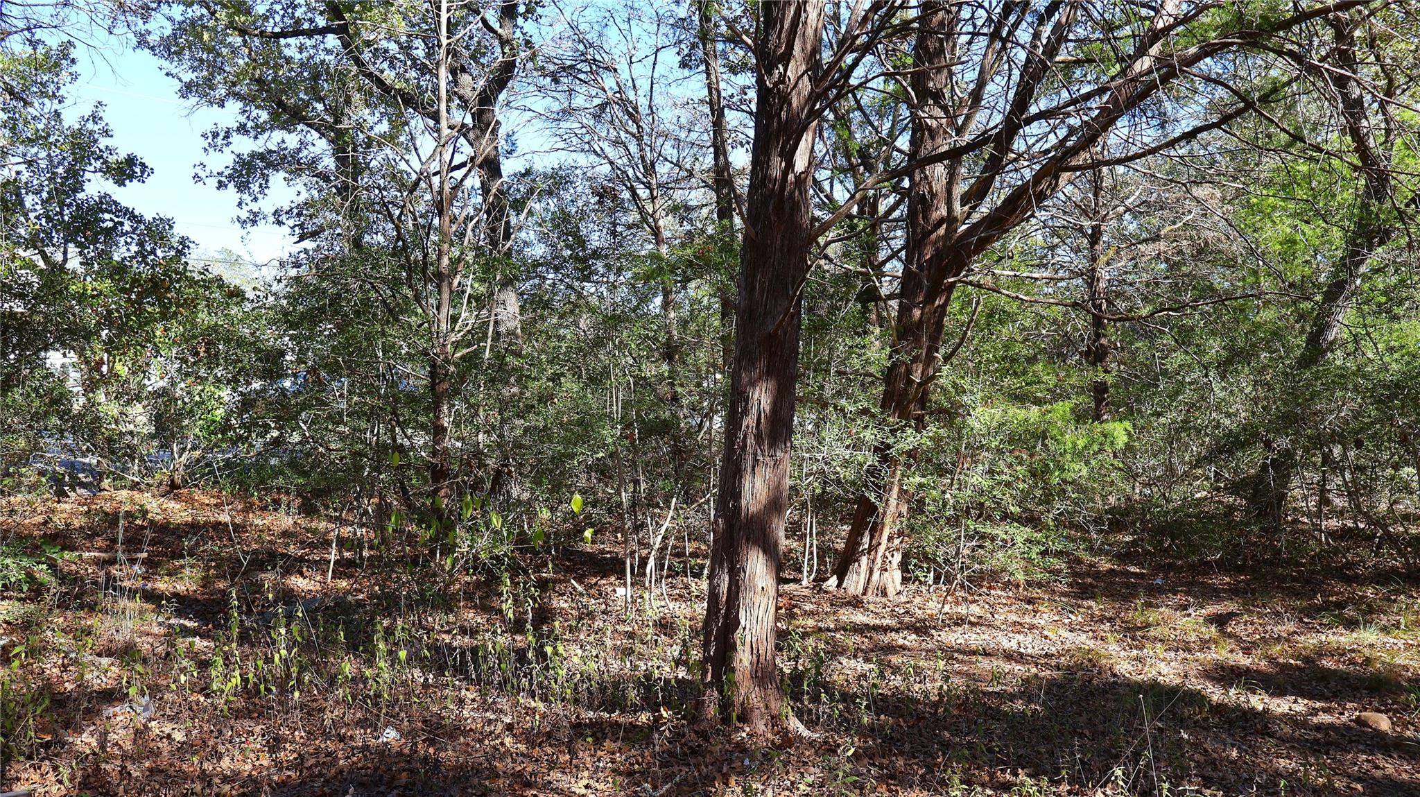 TBD Choctaw Trl, Smithville, TX 78957