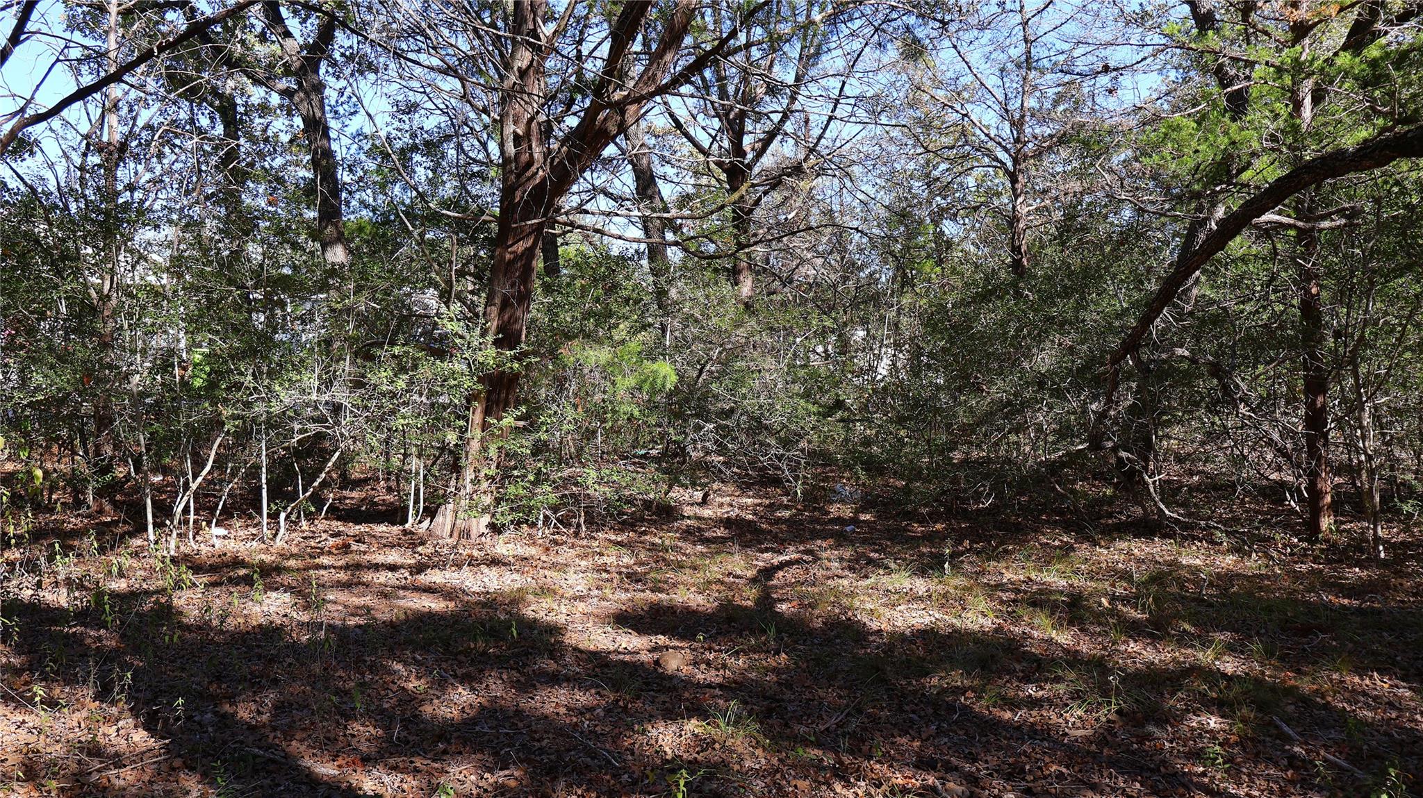 TBD Choctaw Trl, Smithville, TX 78957