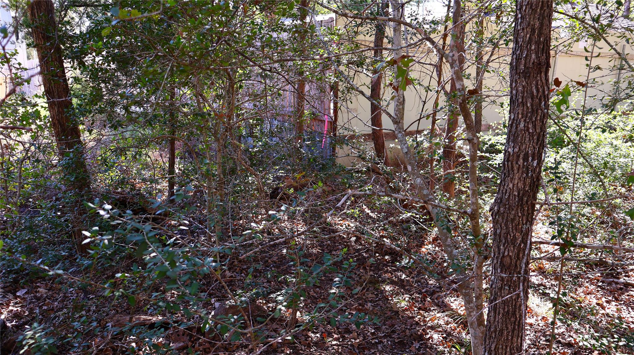 TBD Choctaw Trl, Smithville, TX 78957