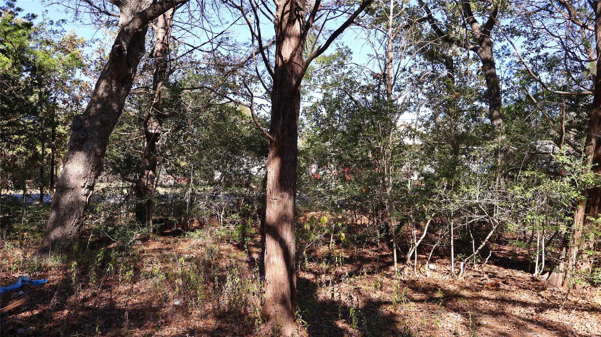 TBD Choctaw Trl, Smithville, TX 78957