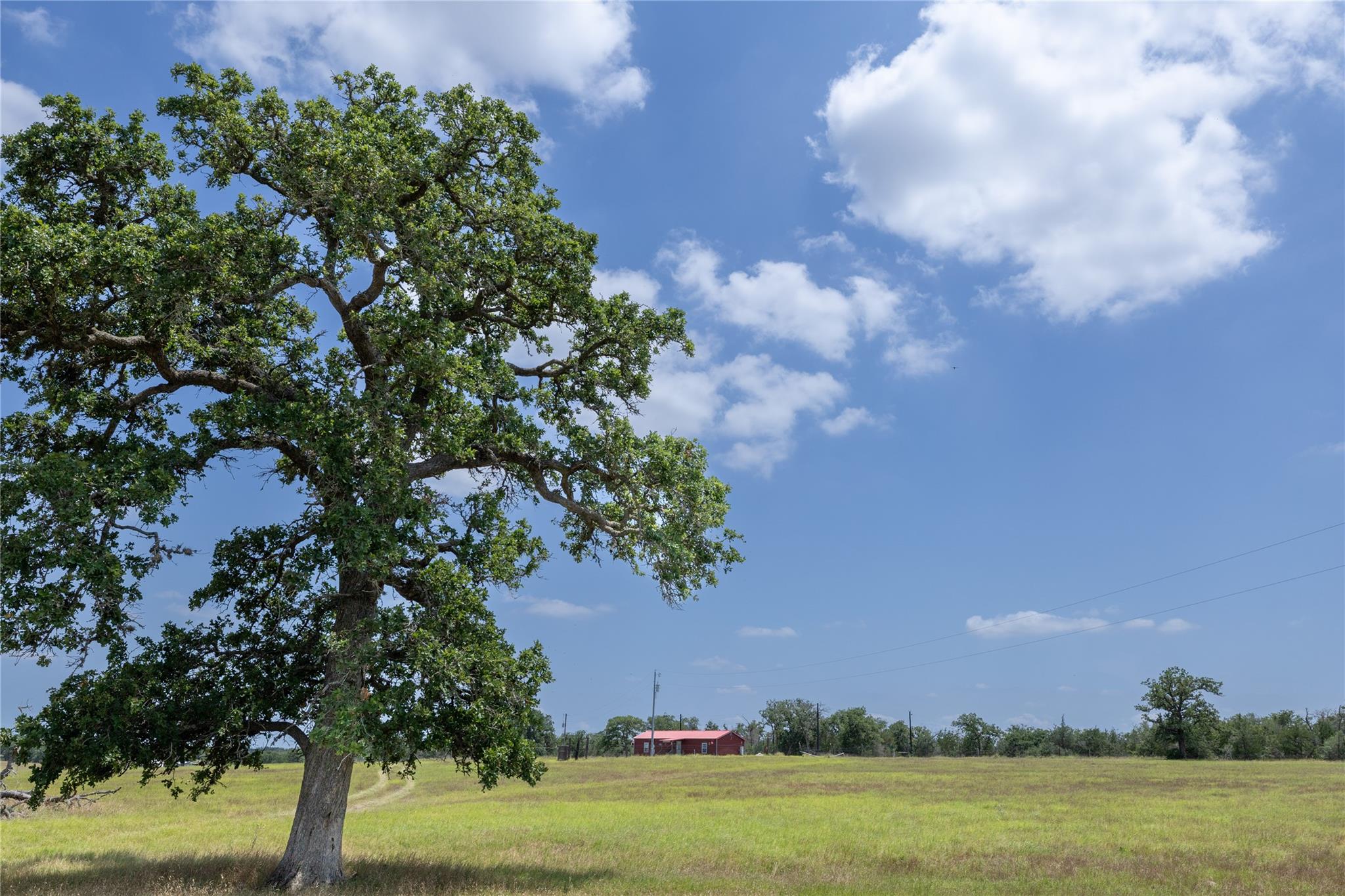 2901-B Mule Creek Rd, Harwood, TX 78632
