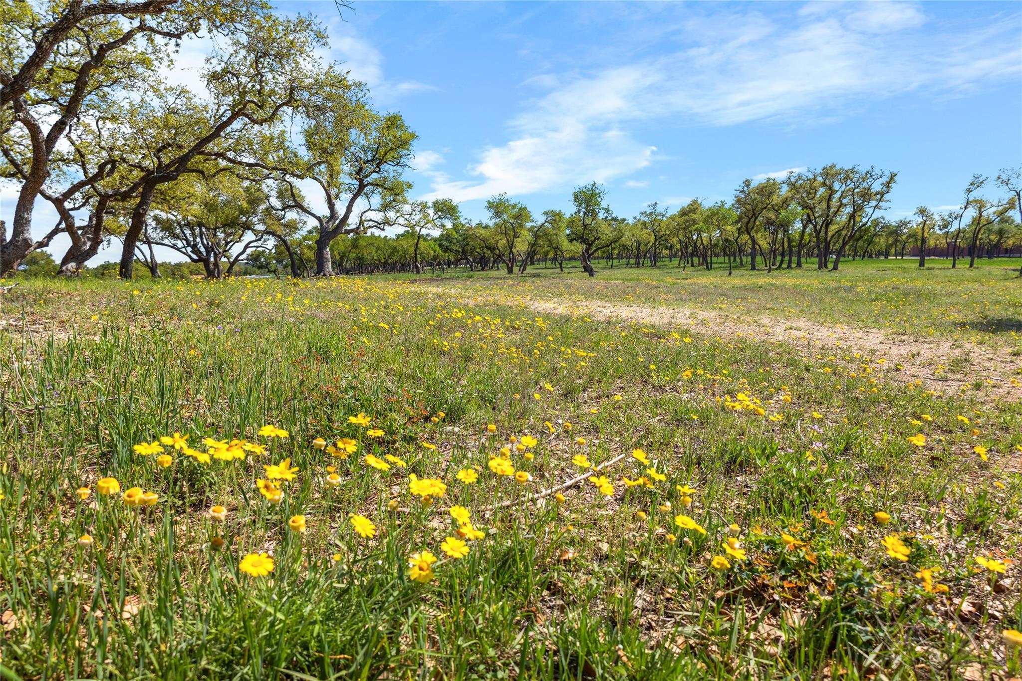 3516 Mount Sharp Rd # 11, Wimberley, TX 78676