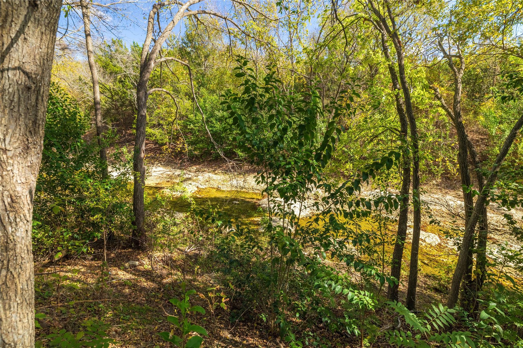 2229 Jasmine Path, Round Rock, TX 78664