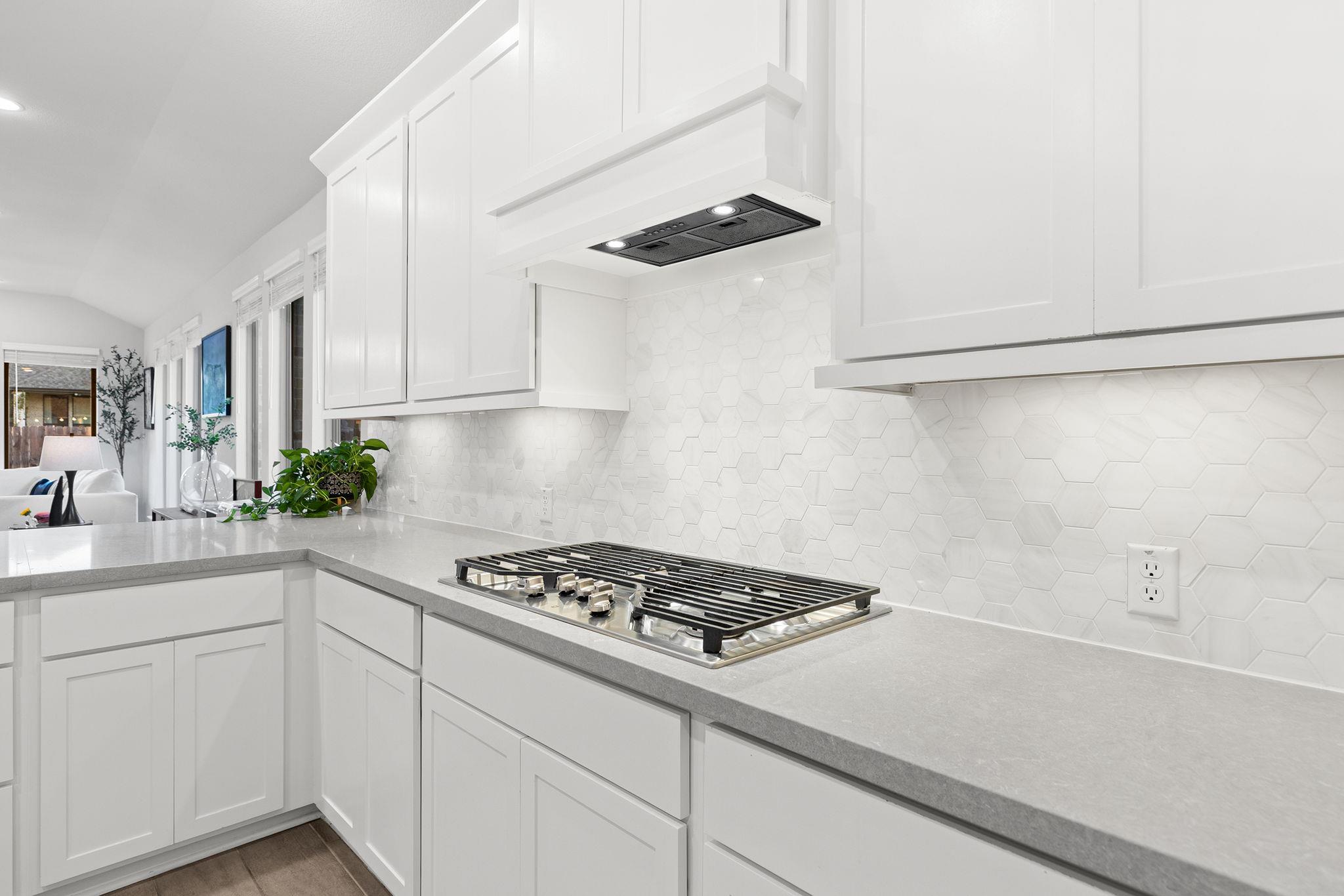 1909 Sir Nathaniel Ln, Leander, TX 78641