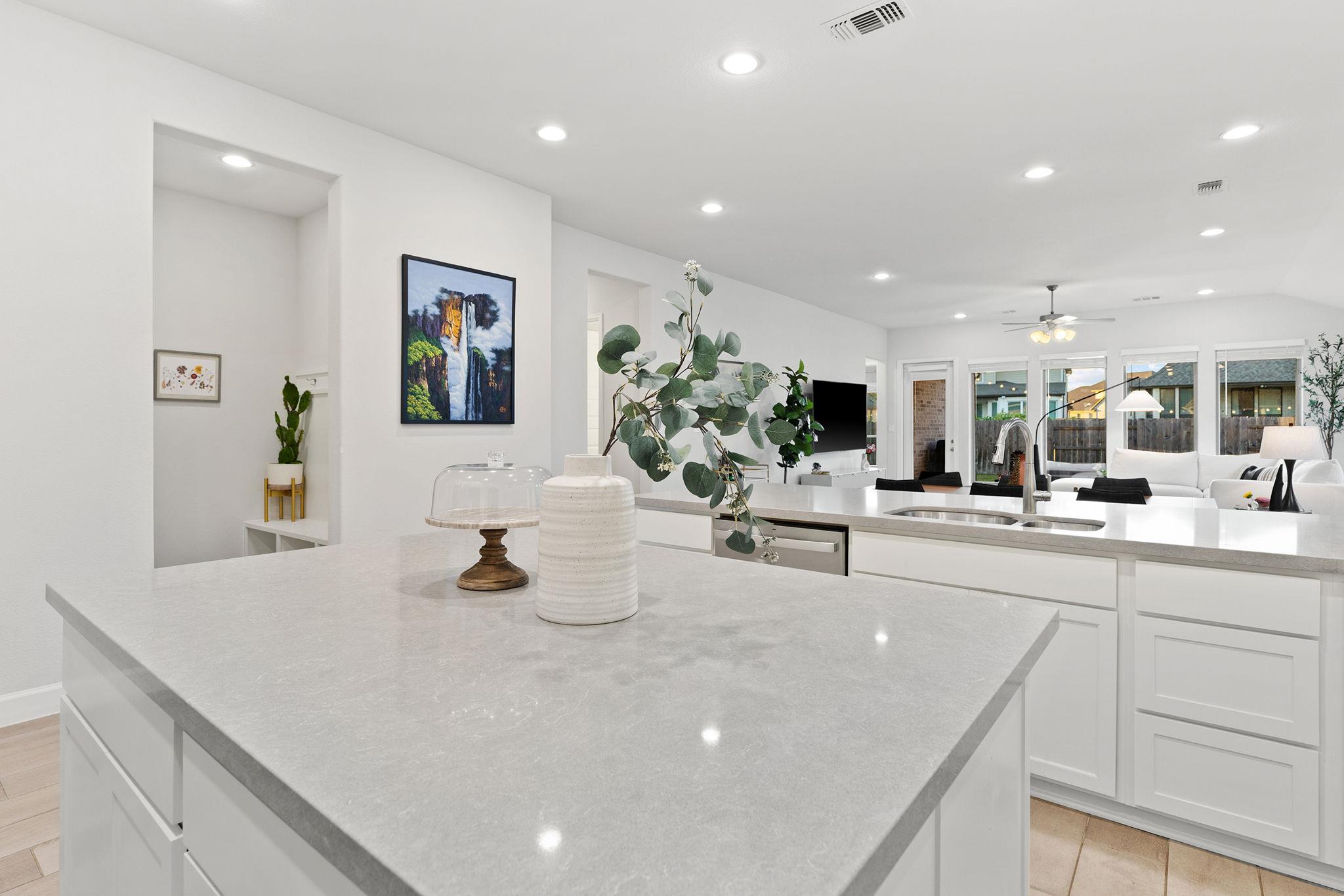 1909 Sir Nathaniel Ln, Leander, TX 78641