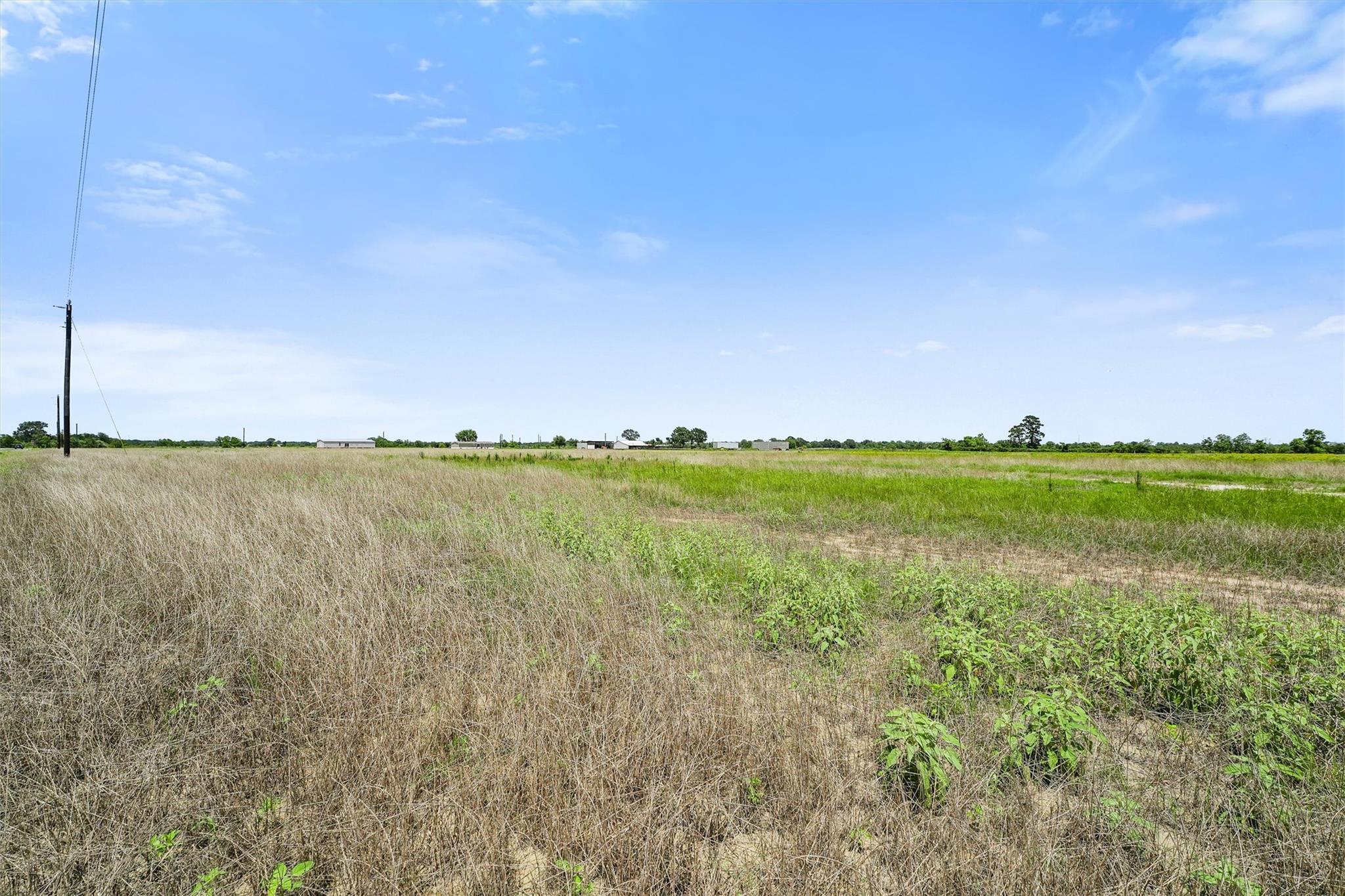 1287 Saddleback Dr, Bellville, TX 77418