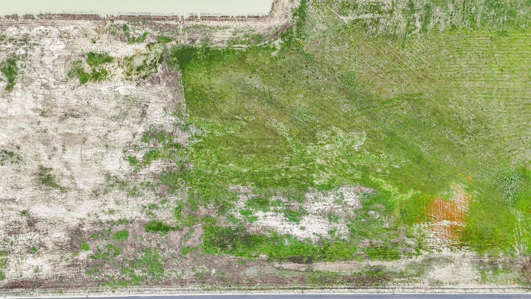 1287 Saddleback Dr, Bellville, TX 77418