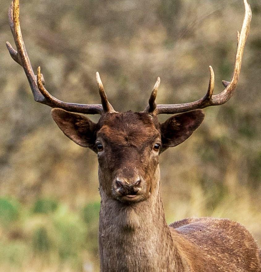 30 Coastal Loop, Johnson City, TX 78636