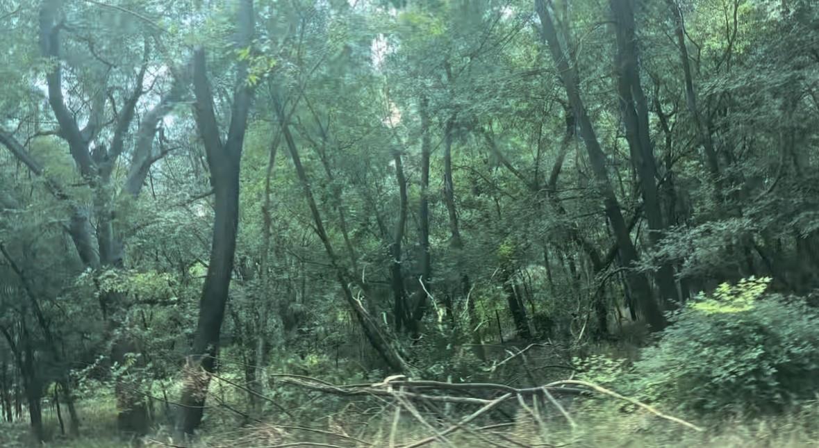 4202 Kings Ct, Austin, TX 78725