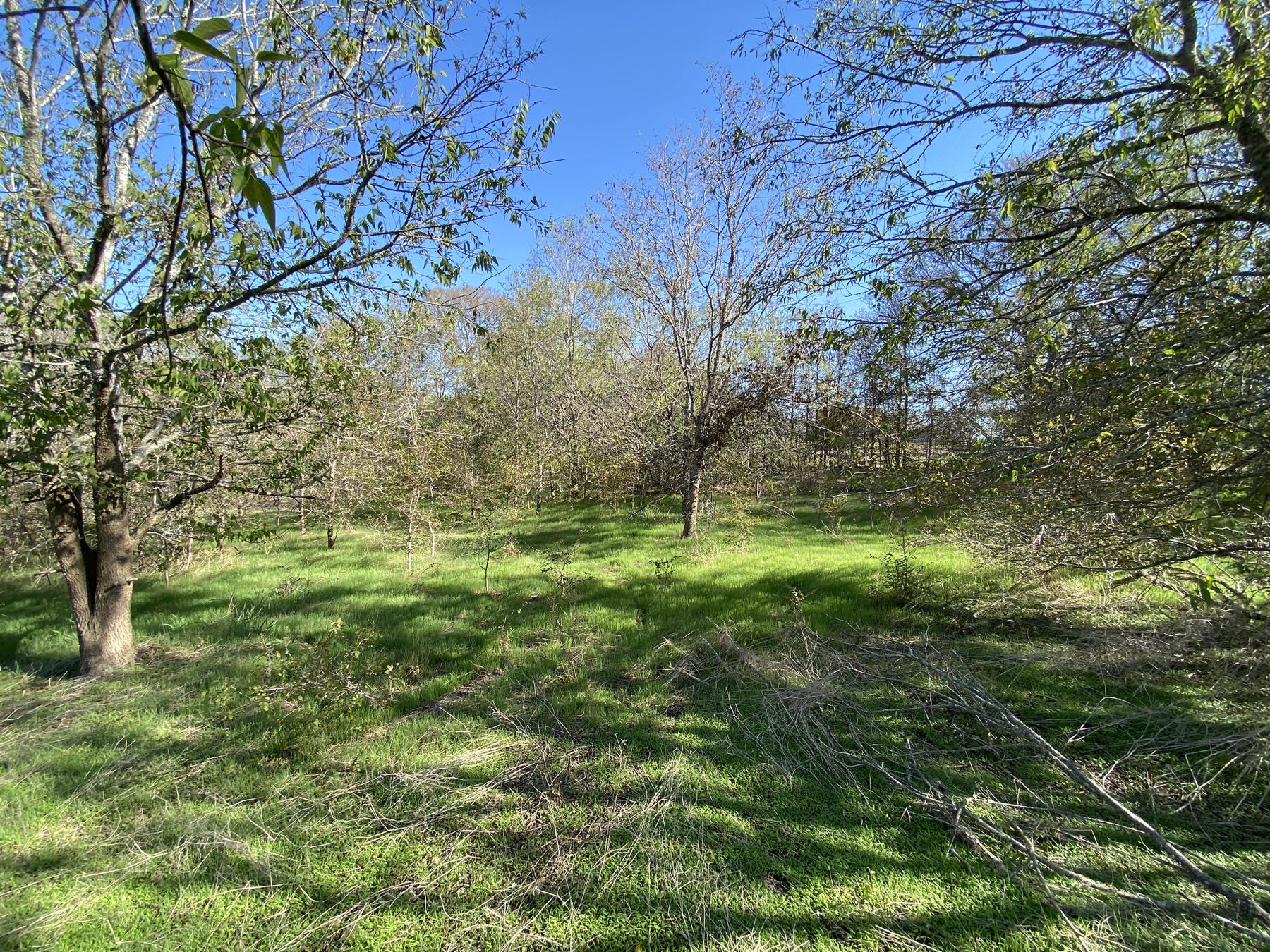 7603 Timber Hills Dr, Del Valle, TX 78617