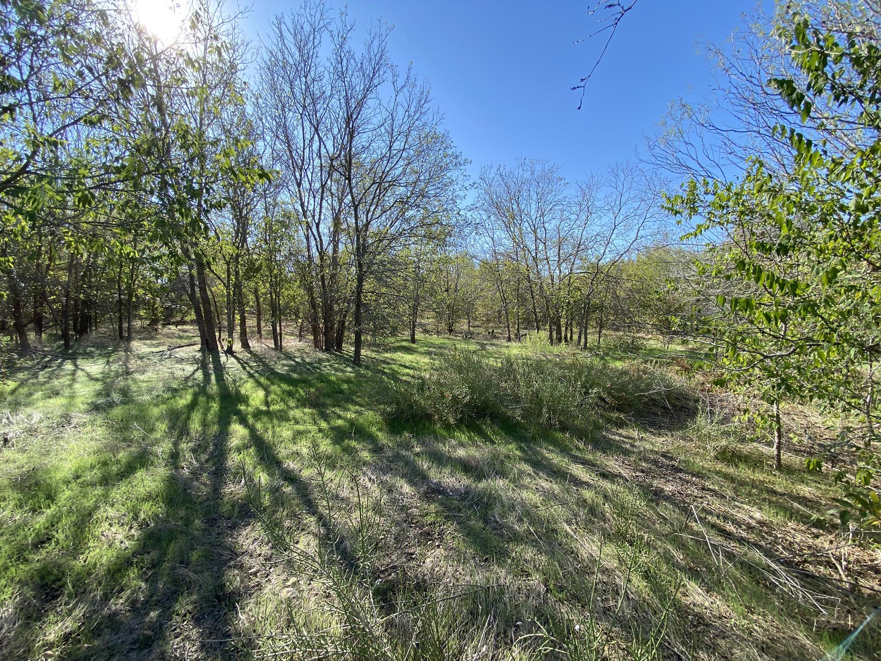 7603 Timber Hills Dr, Del Valle, TX 78617