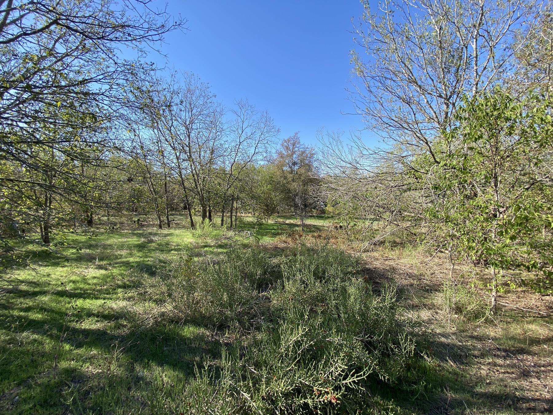 7603 Timber Hills Dr, Del Valle, TX 78617