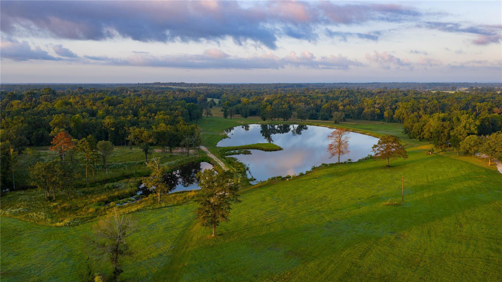 1577 County Road 431, Tennessee Colony, TX 75861