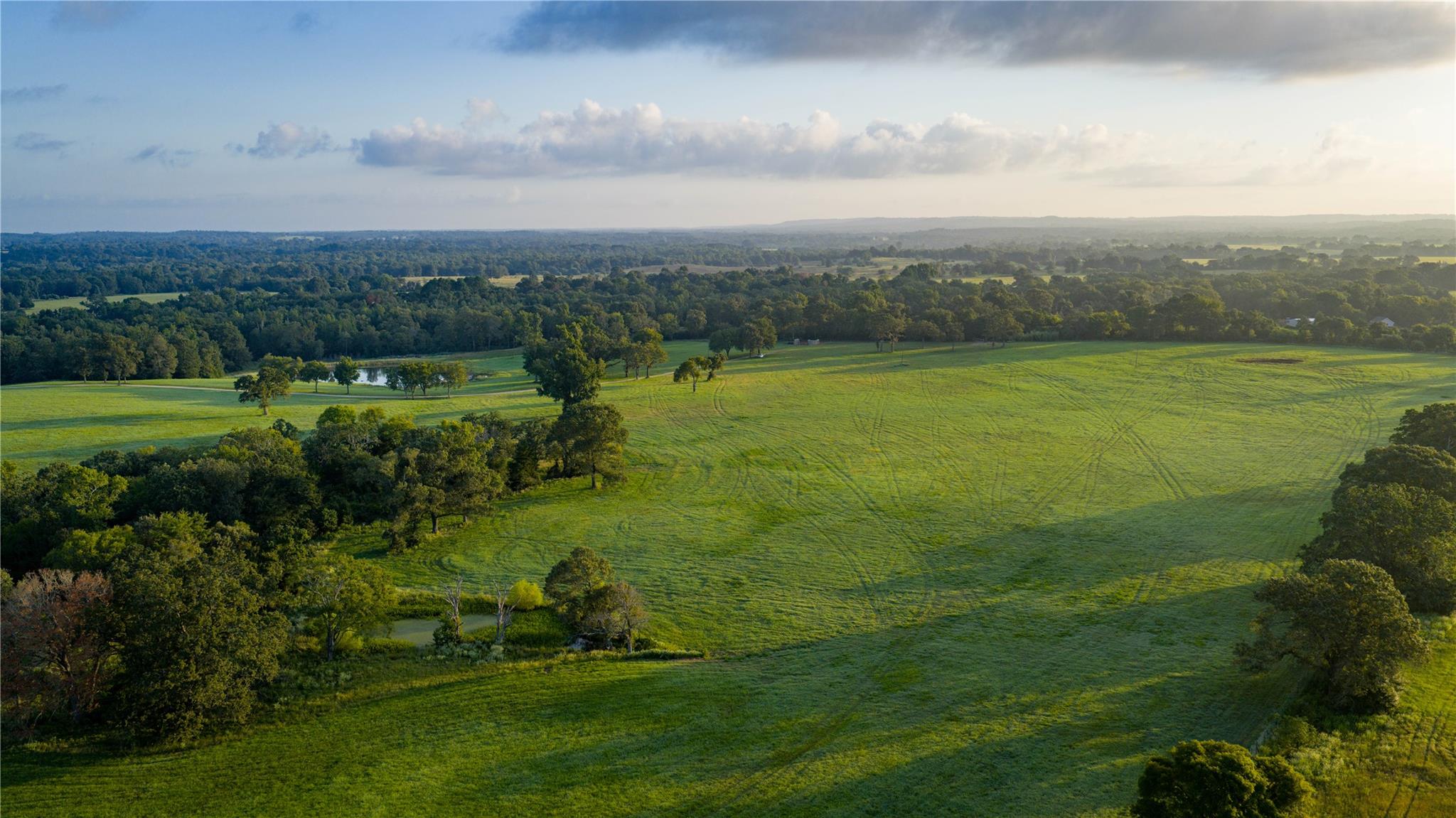 1577 County Road 431, Tennessee Colony, TX 75861