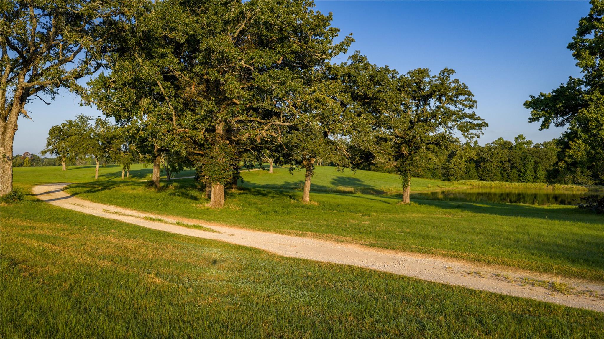 1577 County Road 431, Tennessee Colony, TX 75861