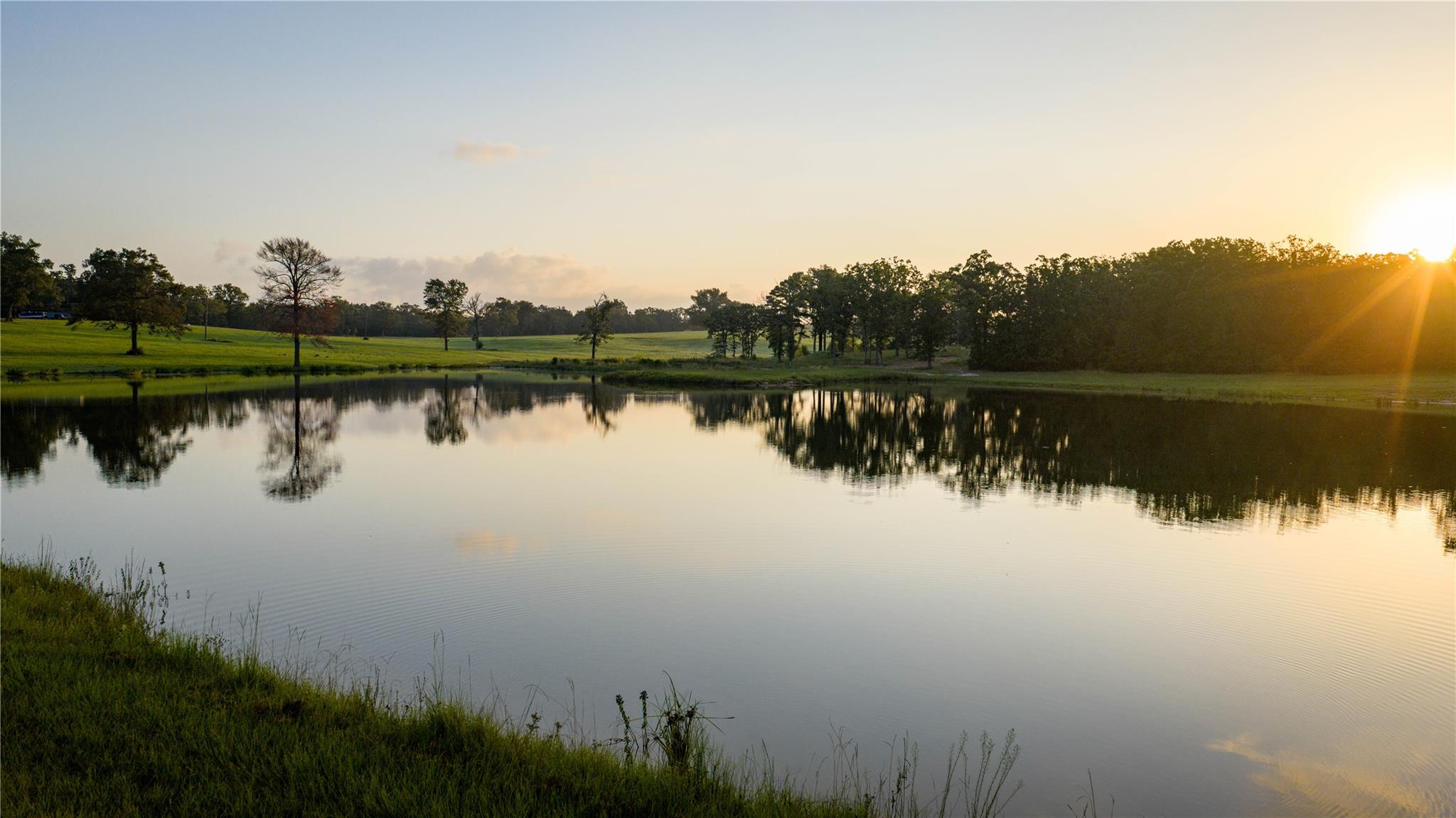 1577 County Road 431, Tennessee Colony, TX 75861