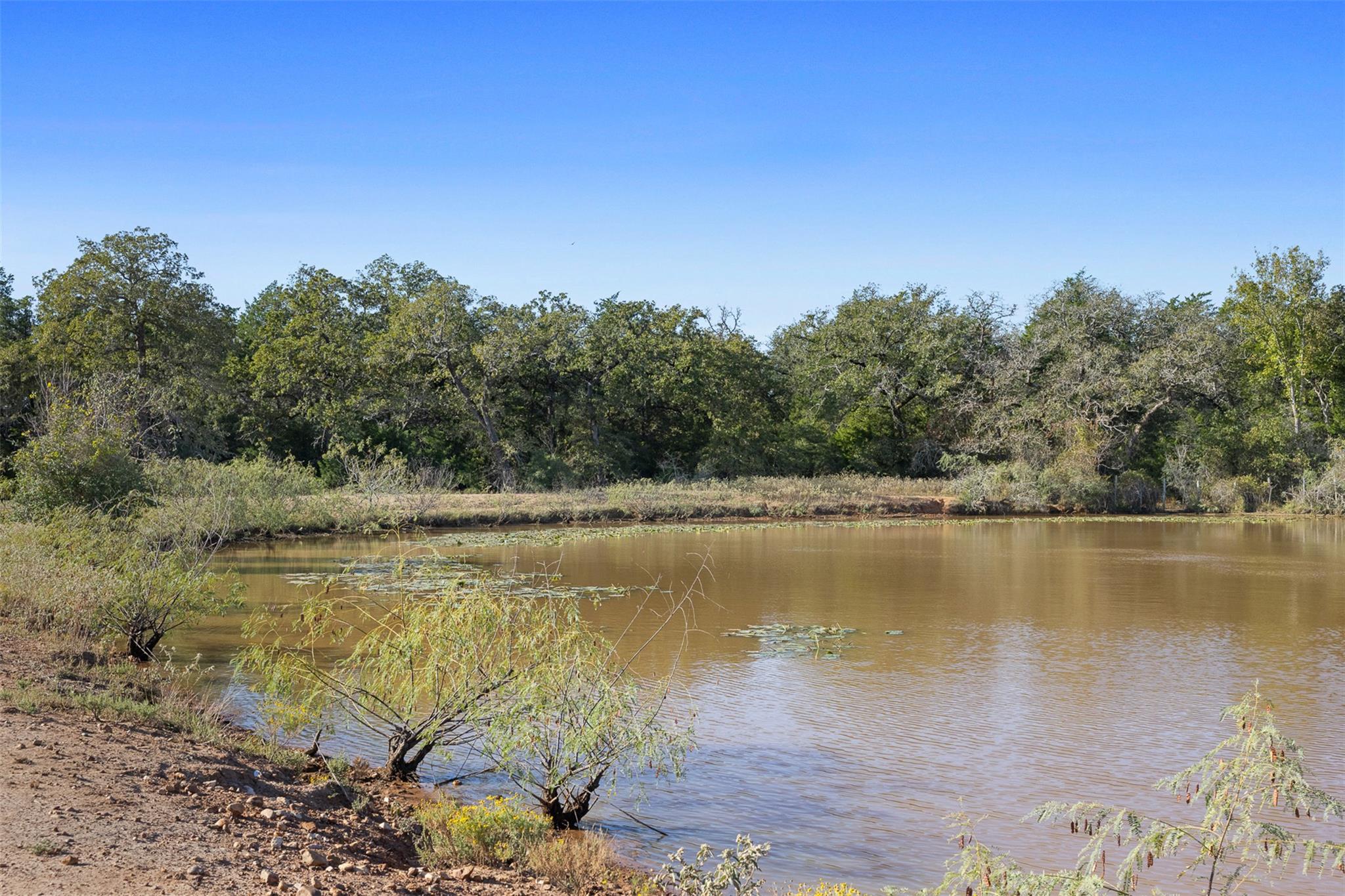 TBD Stockade Ranch Rd, Paige, TX 78659