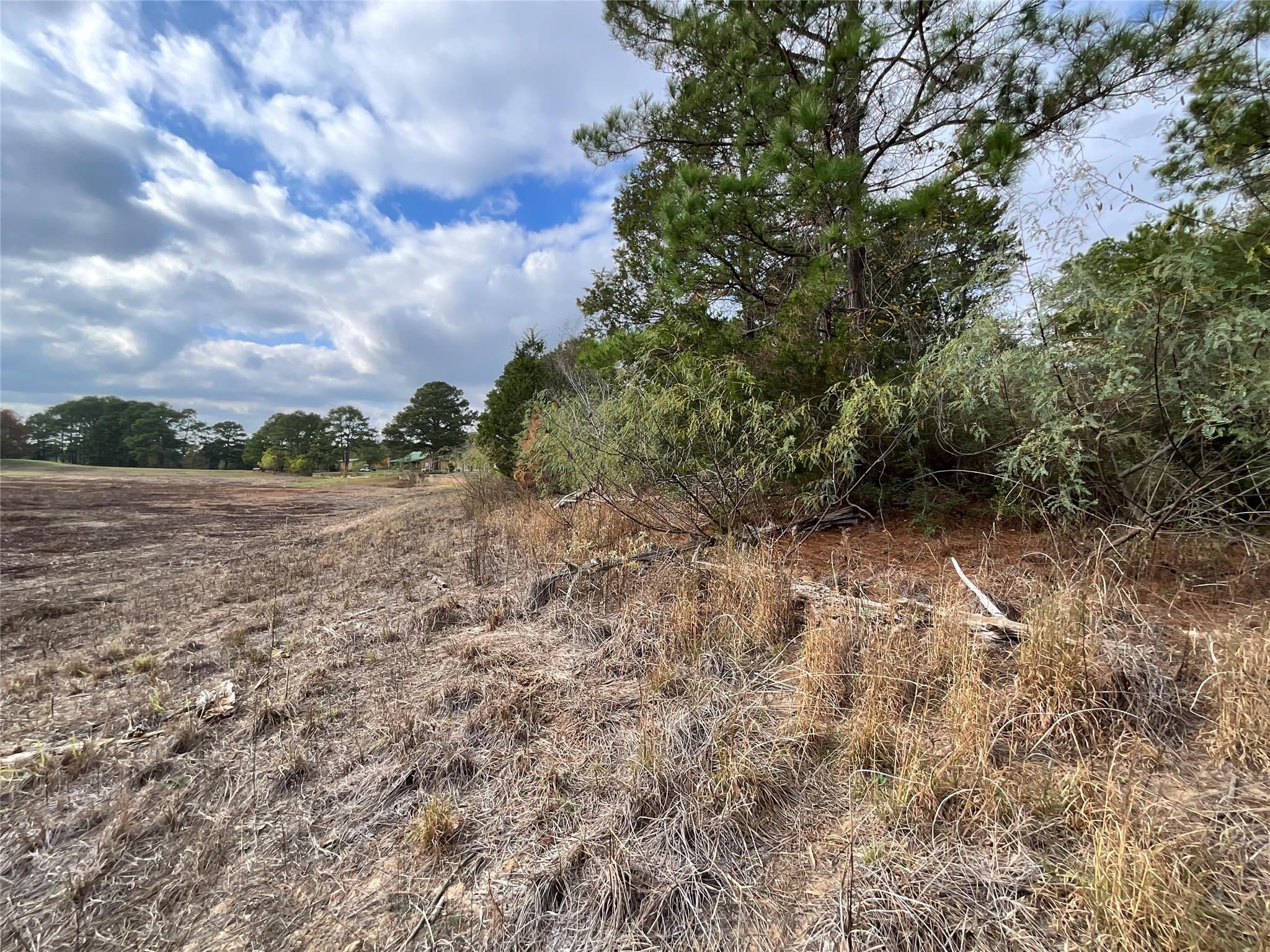 112 Shore Front Dr, Bastrop, TX 78602