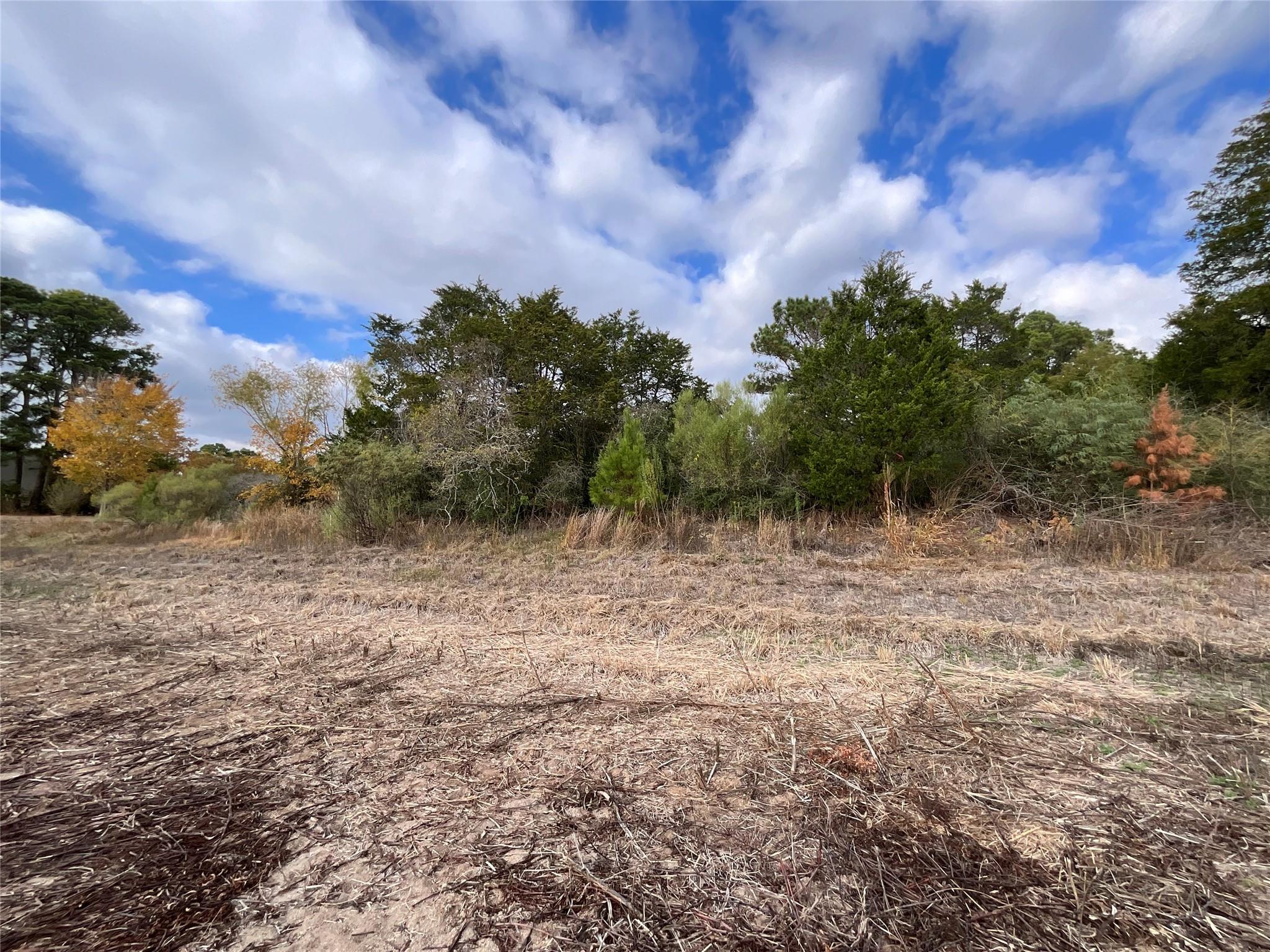 112 Shore Front Dr, Bastrop, TX 78602