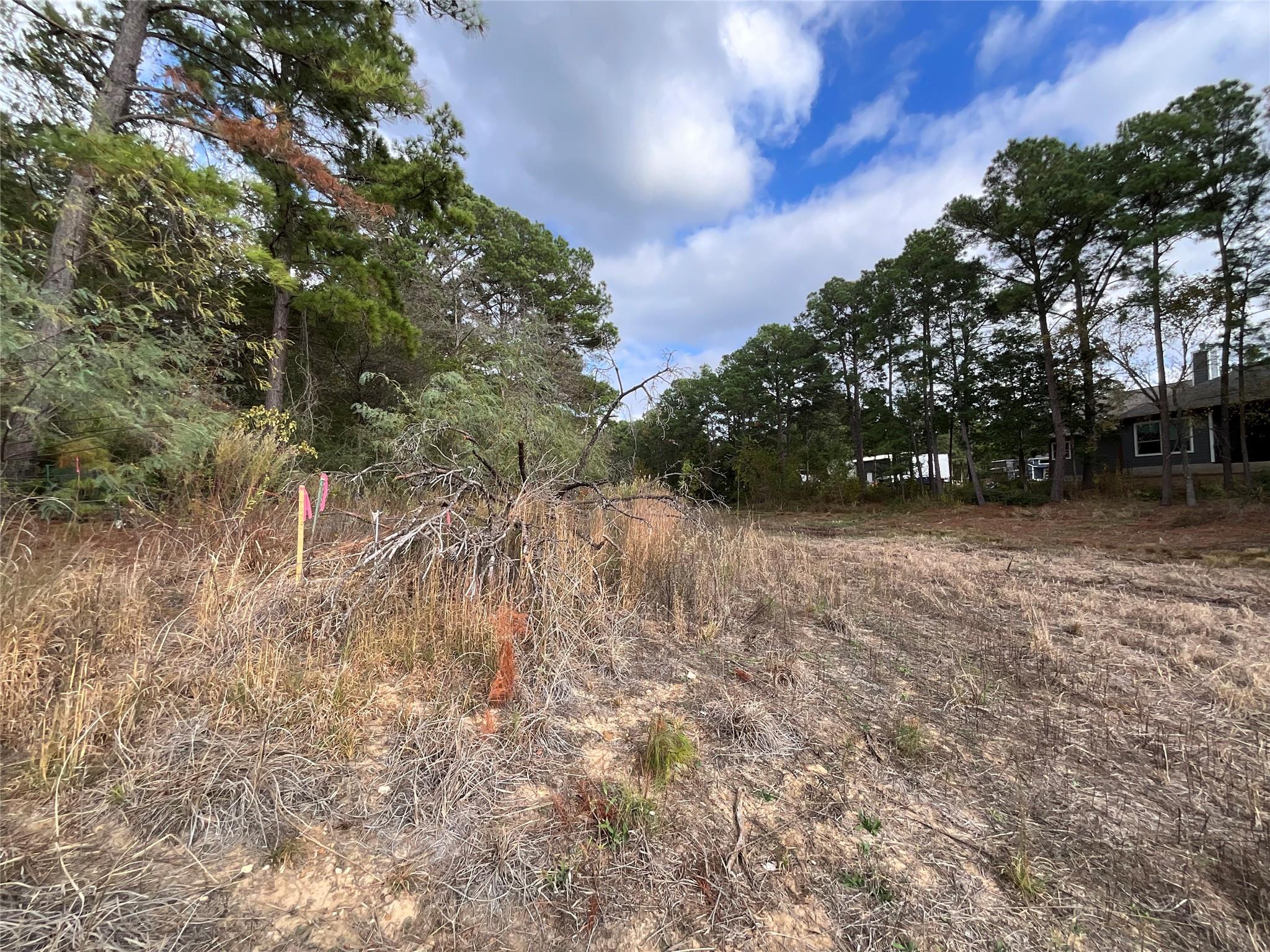 112 Shore Front Dr, Bastrop, TX 78602