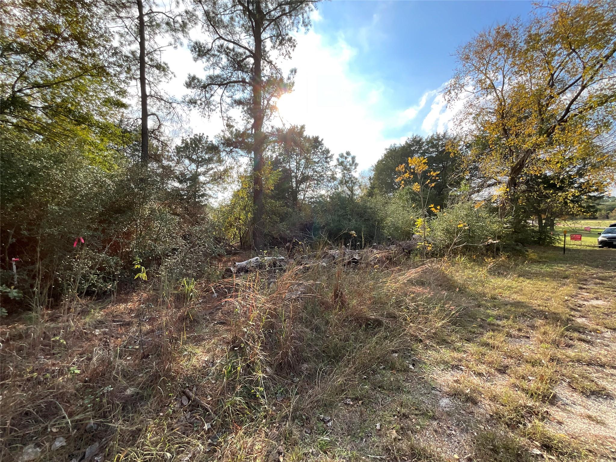 120 Shore Front Dr, Bastrop, TX 78602